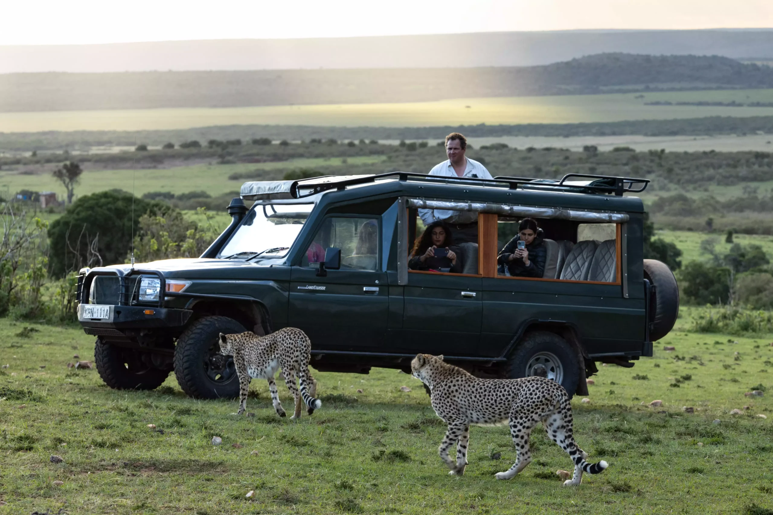 Incredible Safaris