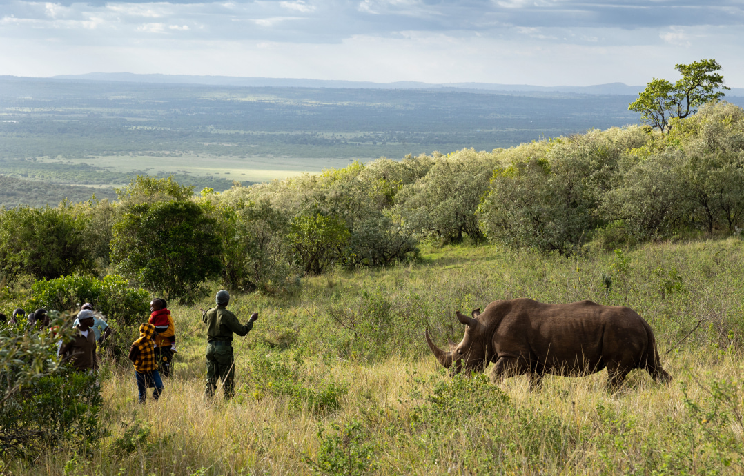 Visit the Rhino Sanctuary